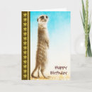 Zoek naar meerkats kaarten Groet
