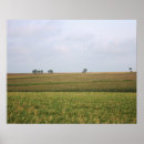 Recherche de paysages ruraux posters Vie agricole