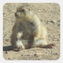 Recherche de animaux de prairie autocollants Faune