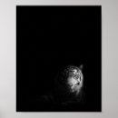 Zoek naar zwarte witte tijger posters Wilde dieren