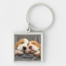 Recherche de beagle porteclés Chien