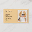 Recherche de beagle cartes visite Dog