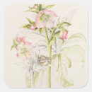 Recherche de hellebore autocollants Fleur