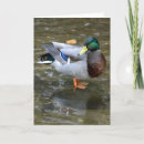 Zoek naar knap kaarten Mannen