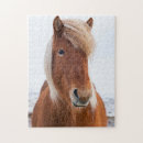 Zoek naar ijslandse paarden puzzels Equus caballus
