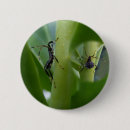 Zoek naar gebogen buttons Insecten