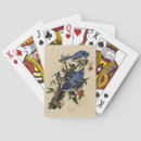 Recherche de illustré jeux de cartes Oiseau
