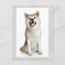 Recherche de inu shiba cartes postales Chiot