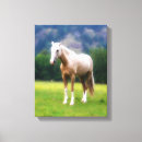 Zoek naar palomino kunst Mooi