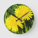 Recherche de mauvaise herbe horloges Dandelion