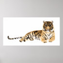 Recherche de dessin tigre posters La faune