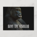 Recherche de gorilles cartes postales Sauvage