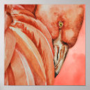 Zoek naar tropische vogels kunst Natuur