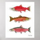 Recherche de pêche à la mouche posters Saumon