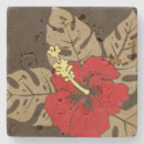 Zoek naar beach onderzetters Hibiscus