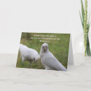 Recherche de quote vœux cartes Friend