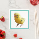 Zoek naar parkieten servetten Vogel