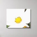 Recherche de jardinier art Cosmos