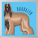 Zoek naar afghaans posters Windhond