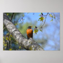 Recherche de sein rouge Arbre