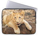 Zoek naar rots laptop sleeves Fotografie