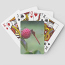Recherche de fleur rouge jeux de cartes Libellule