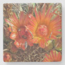 Recherche de brights photographie Floral