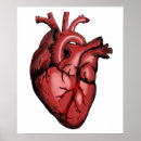 Zoek naar anatomisch hart kunst Student