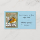 Recherche de bleuet cartes visite Oiseau