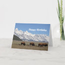 Recherche de bison anniversaire cartes Faune