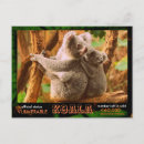 Recherche de ours koala cartes postales Australie
