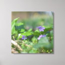 Zoek naar viooltjes blauw posters Elegant