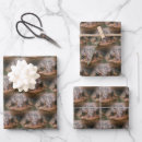Recherche de de crapaud papier cadeau Grenouille