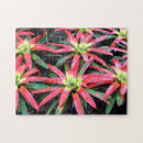Recherche de hawaïen puzzles Fleur