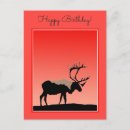 Zoek naar kariboe briefkaarten Karibou