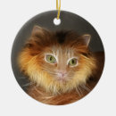 Recherche de tête de tigre ornements Chat