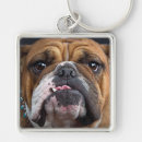 Recherche de bouledogue français porteclés Amoureux des chiens
