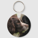 Recherche de springer spaniel porteclés Chien