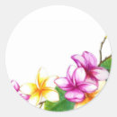 Recherche de plumeria autocollants Fleurs