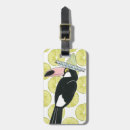 Recherche de toucan Chaux