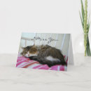 Recherche de chat triste vœux cartes Félin