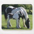 Recherche de mares tapis souris Poney