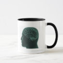 Recherche de image de cerveau Humain