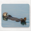 Recherche de cathy tapis souris Délimiteur danita