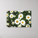 Recherche de delight posters Floral