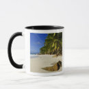 Recherche de allison tasses Nature