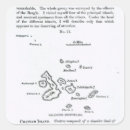 Recherche de galapagos autocollants École