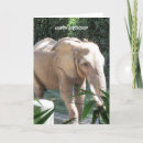 Recherche de pachydermes vœux cartes Défenses