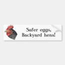 Recherche de poule voiture autocollants Volaille