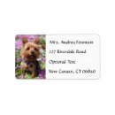 Zoek naar yorkshire terrier etiketten Pup